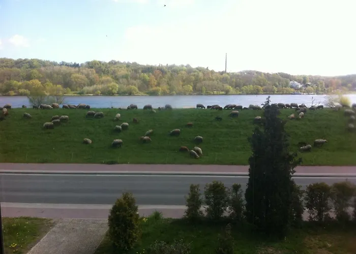 Elbdeichkoje De Monteure & Urlauber * Tespe